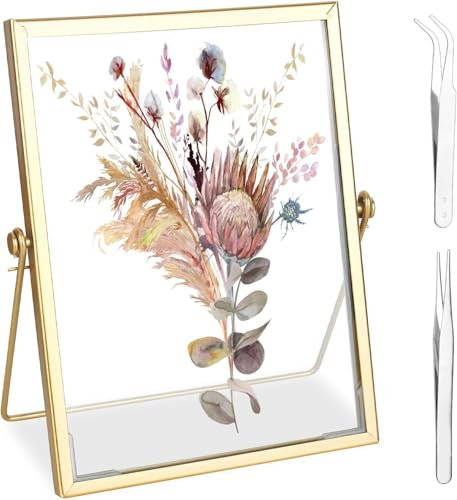 RONMOSNEA Cornice per foto in vetro metallico, 15 x 20 cm, in stile retrò oro, per fiori pressati, cornice dorata, per casa e ufficio, campione di piante, fiori secchi
