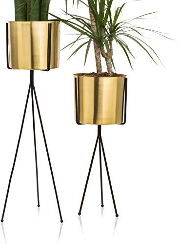 Set mit 2 modernen Messing-Gold-Pflanzgefäß mit Metall-Pflanzenständer, 7 Zoll großer Blumentopf mit schwarzen Ständern aus der Mitte des Jahrhunderts, 45.7 cm und 61 cm hoch, Innendekoration