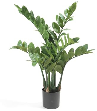 La Green Touch Künstliche Zamioculcas – Höhe 70 cm, Durchmesser 12 cm