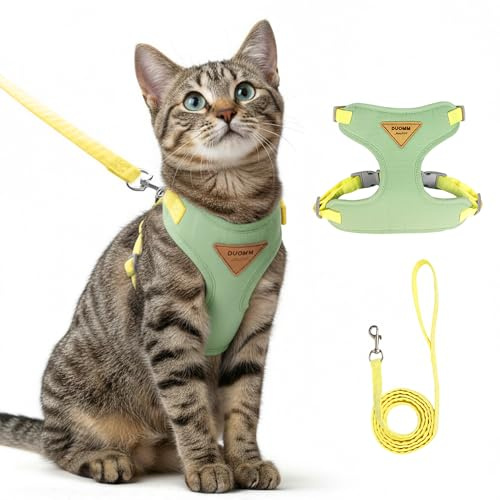 Ausbruchsicheres Katzengeschirr und Leine, verstellbar und bequem, ideal für Spaziergänge im Freien, passend für Kätzchen, mittelgroße und große Katzen, Grün, Größe L