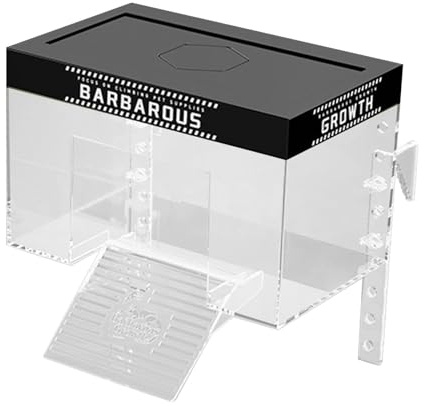 Ysyqkn Accessoires pour Aquarium de Marines, Petit Terrarium surélevé pour Aquatiques - Aquatique, 20 Cm X 14 Cm X 14