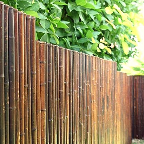 DE-COmmerce Hochwertiger Bambus Zaun Sichtschutz ATY Nigra, oben geschlossen, Rollzaun, Gartenzaun, Sichtschutzzaun für Garten, Terrasse, Balkon (HxB) 100 cm x 180 cm