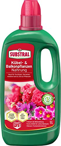 Substral Balkon und Kübelpflanzen Nahrung, Flüssigdünger für Surfinien, Geranien, mediterrane & Zitruspflanzen, 1 L