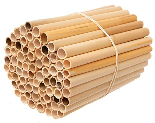 Super Idee 100stk. Schilfrohre Fertigröhrchen für Insektenhotelbau 20 cm Länge wasserdichte Glatte Innenseite Reet Füllmaterial für Insektenhotelbau Insektenhaus Bienenhaus Bienenhotel Nisthilfen