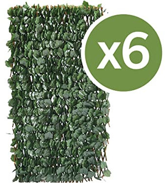 Lot de 6 Clôtures en treillis de saule Fragon - 200 x 100 cm - Vert