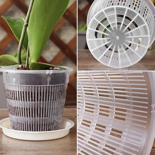 Pot à orchidée avec soucoupes, pot de fleurs en plastique transparent, pot de rempotage de plantes, croissance facile des racines (19 cm)