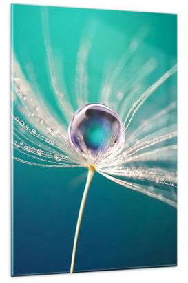 Wandbilder Dekoration Wohnzimmer Pflanze Natur Bilder auf Glas 80x120cm Glasbild Schlafzimmer Küche Deko Wand Kunstdruck Art Groß XXL Wanddeko Bild im Glas Modern Wall Decor Glasdruck GPA80x120-3991