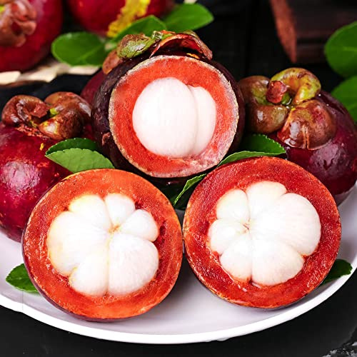 semillas de mangostán resistentes al aire libre semillas de orgánicas columnares cocina jardín comprar bonsáis espaldera 35pcs