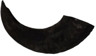 Express Pet Supplies Small Lamb Horn | 100% Natural Air-Dried Dog Treat Chew | Long Lasting large Dogs