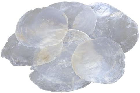 10 Stück Perlmutt Scheiben Capiz Perlmuttscheiben Natur Weiss 6-11cm TISCHKARTEN Namenskarten Muschelscheiben runde Perlmuttplatten Maritime Deko Anker Muschel maritim Deko Muscheln