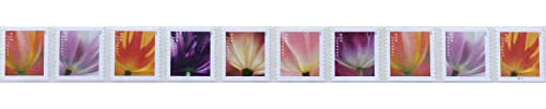 2023 Tulip Blossom Forever First Class Postage Stamp (10 Count Strip) Y