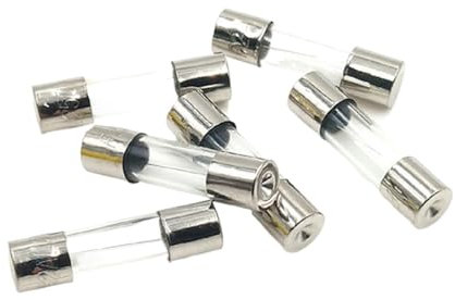100 Stück 6 x 30 mm, 5 x 20 mm, Glassicherung, 250 V, 0,1, 0,2, 0,3, 0,5, 1, 2, 3, 4, 5, 6, 8, 10, 15, 20, 25, 30 A, AMP-Sicherung, Spannungsschutz for elektronische Komponenten ( Color : 10A , Size :