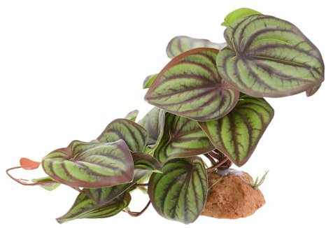 TOGEVAL Terrarium Pflanzen Dekoration Künstliche Reptilien Pflanzen Für Terrarien Installieren Sicher Für Haustiere Lebendige Farben Für Aquarien Und Terrarien