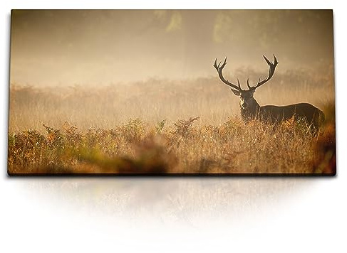 Paul Sinus 120x60cm Wandbild beeindruckender Hirsch im Nebel - für eine atemberaubende Naturdarstellung in Ihrem Wohnraum.