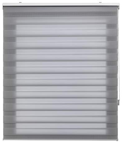 Blindecor | Tages- und Nacht-Rollo individuell | Doppellagig | Grau | 95 x 250 cm (BxH) | Stoffgröße 92 x 245 cm | Fensterrollos