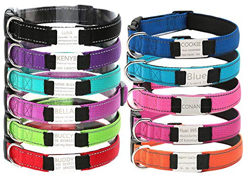 Oncpcare Personalisiertes Hundehalsband, reflektierend, graviert, mit Namen, Telefonnummer, verstellbare ID-Halsbänder für Katzen, Welpen, Hunde