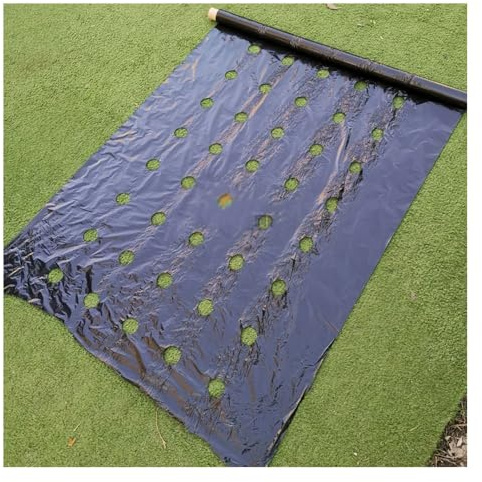 Mantillo De Agricultura, Película Plástica Con Orificio Preperforado, Control De Malezas De Invernadero, Herramientas De Plantación De Viveros De Vegetales, Fresas, Mylar, Negro ( Size : 0.95x50m )