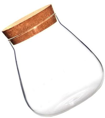 JOINPAYA Bouteille en Verre Soufflé Bouchon en Liège Marron, Récipient Décoratif pour Micro Paysage, Accent Décoratif pour Salon et Couloir, Matériau Verre Borosilicate