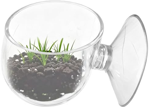 ZHUMCCY Distributeur De Nourriture pour Crevettes | Distributeur Flottant Transparent avec Ventouse - Porte-Nourriture pour Ver Rouge - pour Terrariums Aquariums Crevettes Betta Tortues Grenouilles