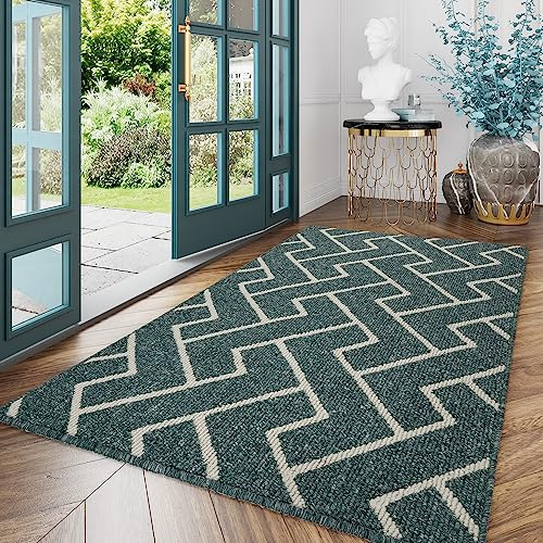 Biscpro Schmutzfangmatte 120 x180 cm, Rutschfestigkeit Fußmatte,Eingangstürmatte Türmatte für Hund,Außen Innen Garten,Teppich,Terrazzo,Haustür,Terrazzo