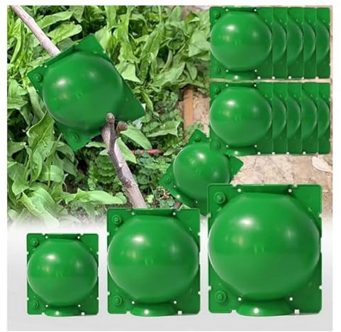10/20 Pz Verde scatola di innesto di Piante Palla Propagazione Radici Impianto Sfera di innesto di Propagazione radicale marcottage aereo radicamento Palla di Crescita Piccolo Motte