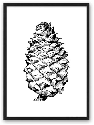 Din A4 Kunstdruck ohne Rahmen - Tannenzapfen - Fichtenzapfen - Fichte Baum Frucht Natur Grafik Druck Poster Bild