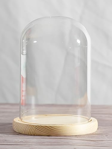 Cupola in vetro con base in legno, Campana in vetro da 9 cm di diametro con base in legno, altezza 20-25(Dia9*H25cm)