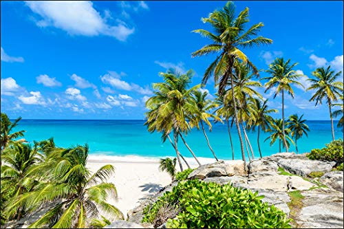 Muralo Fototapete Vlies Strand, Ozean, Himmel, Palmen, XXL - 240x360 cm | Fantasievolle Tapete, hochauflösender Druck - ideal für Wohnzimmer und Schlafzimmer, Urlaubsfeeling für jeden Tag