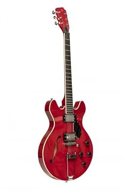 Stagg SVY 533 TCH Silveray 533 E-Gitarre mit massivem Mahagoni-Korpus und doppeltem Cutaway