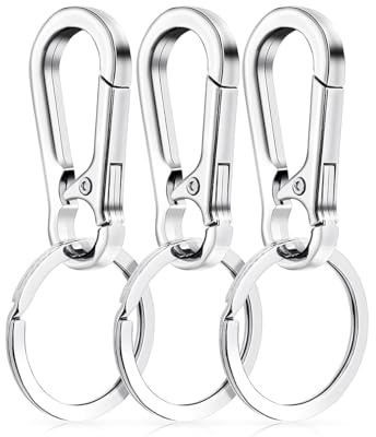 Espectronix Set de 3 Llaveros con Mosquetón de Metal, Extraíble, para Llaves de Coche, Mochila, Camping y Viajes (Plata)