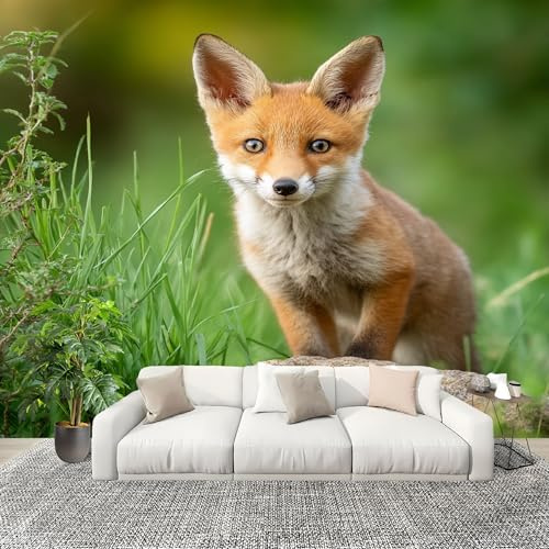 Genérico Papel Pintado Panorámico 200x140 cm Animal Zorro Primer Plano Personalizable Fotomurales No Tejido Póster Pared Decoración Verde 3D Duradero y Resistente a las manchas Fotomurales