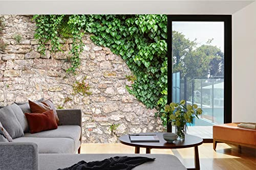 Vlies Fototapete STEINMAUER MIT BLÄTTERN 375 x 250 cm (inkl. Kleister) - Vlies Tapete, Wandtapete, Wandbilder - Tapete für Wohnzimmer Schlafzimmer, Büro, Küche - Montagefertig