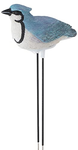 Watering Alarm Bird, Plant Soil Tester Soil Watering Sensor Humidity Detector Meter Humidity Sensor Hygrometer Battery Included for Potted Plants Flowers (Blue)