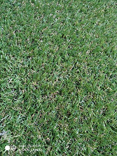 Kunstrasen-Rolle, 20 mm, 1 x 5 m