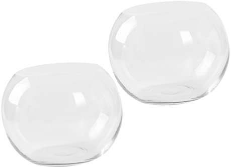 DECHOUS Hydroponische Glasvase Kreative Tischdeko Für Blumen Transparente Glasvase Dekoratives Element Für Zuhause Büro Restaurant Und Hotel Für Pflanzenarrangements Stilvolles