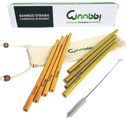 Lot de 8 pailles en bambou réutilisables en bambou (22 cm), sans BPA, alternative écologique aux pailles en plastique, multi-usages en bambou