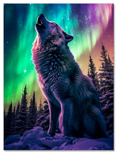 wandmotiv24 Leinwandbild Wolf, Polarlicht, Hochformat M0793