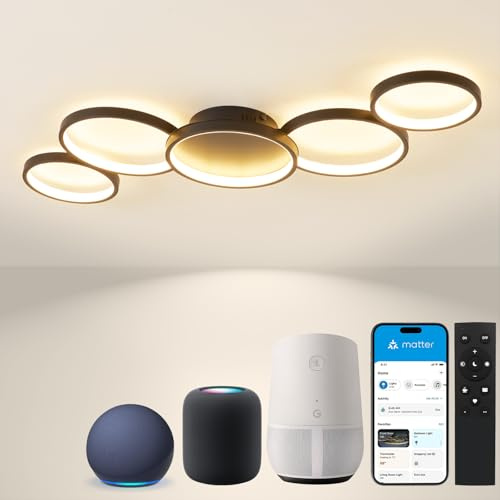 BAYHT Deckenlampe mit Fernbedienung, Wohnzimmerlampe Kompatibel eWeLink App, 56W 5600lm, 3000K-6000K, Modern LED Deckenleuchte Für Schlafzimmer Wohnzimmer (100cm, Schwarz)