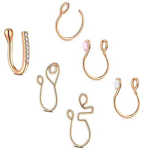 D.Bella Faux Piercing Nez Septum 6 Pcs Faux Piercing au Nez Acier Inoxydable Non-pierced Anneau de Nez Septum Non Bijoux Piercing pour Femme Homme