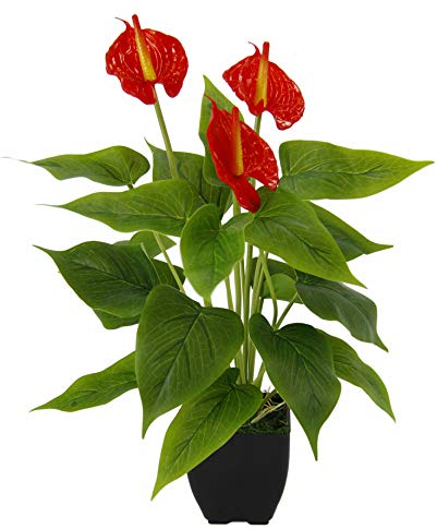 Künstliche Anthurium Pflanze im Topf Anthurie exotische Flamingoblume Flamingo Blume exotische Pflanze mit roten Blüten Flamingopflanze Kunstpflanze Dekopflanze Kunstblume Deko Zimmerpflanze Calla