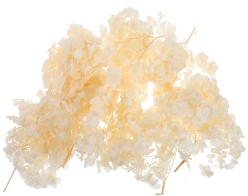 DOITOOL de Hortensia Seca Preservada Color Beige Natural Confeti Floral para Bodas Decoración de Fiestas y Manualidades Cajas