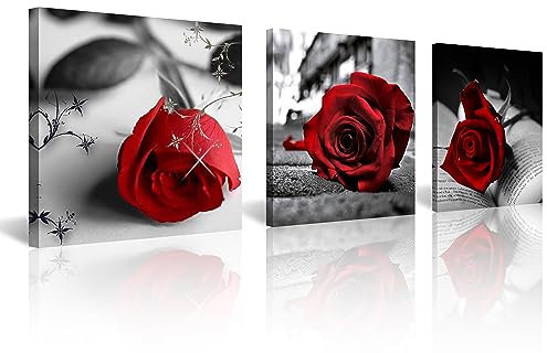 NAN Wind 3 Pcs Red Rose Canvas Art Black and White Red Wall Art Flower Picture Prints Stretched and Framed Triptych 12X12 Floral Decor Canvas Art for Home Decor Living Room Bedroom