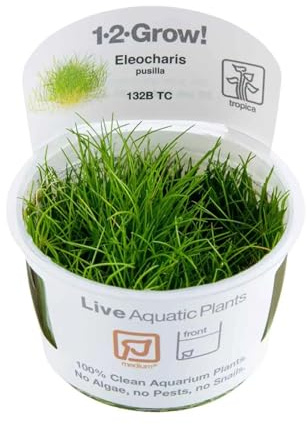 Tropica Eleocharis Acicularis 'Mini' 1-2-GROW! Aquarienpflanze
