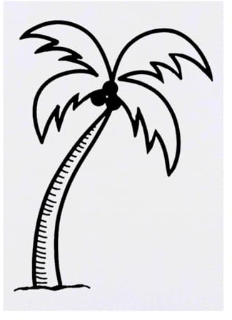 Azeeda 'Palm Tree' Temporary Tattoo - Water Resistant, Skin-Safe, Non-Toxic Transfer (TO00027575)