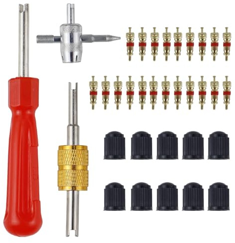 Lot de 33 outils de retrait de valve de pneu de voiture | Kit de réparation de valve de pneu | Extracteur de noyau de valve à double et tête unique | Outil de valve à 4 voies | 10 bouchons de valve |