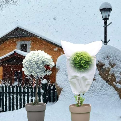 SinSed Voile hivernage citronnier Sac en Tissu d'hiver 31,5 * 39,3 Pouces avec Cordon de Serrage pour éviter Le Vent, la Neige et Le Froid(Color:31.5 * 39.3in,Size:3)