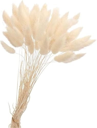 Pampasgras Trockenblumen 50 Stück Elegantes Pampasgras Deko Natürlich Blumenstrauß Flauschiges Getrocknete Blumen Herbst Boho Deko für Hochzeit Büro Schlafzimmer Wohnzimme (Weiß)