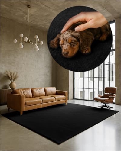 TEXMAXX Weicher Kurzflor Teppich Wohnzimmer mit rutschhemmender Rückseite (160 x 230 cm) - Modern für Flur, Esszimmer und als Schlafzimmer Teppich in Schwarz - Waschbar bis 30 Grad
