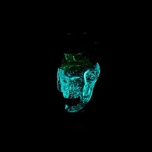 THE HOOKAH - Shisha Universal Molassefänger 2-Teilig Glas 18/8 Schliff Dead King WOODOO Skull Totenkopf aus Borosilikatglas Wasserpfeife Zubehör für besten Durchzug und Sauberkeit