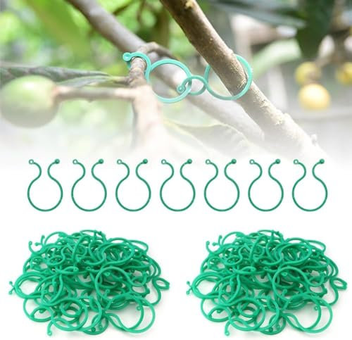 Gesicherter Pflanzen Clip, 2024 Neuest pflanzenclips 100/200 pcs, Pflanzenklammern klein zur Rankhilfe und Befestigung von Pflanzen, Praktischer Pflanzenstützclip für Tomate Gurken (100pcs)